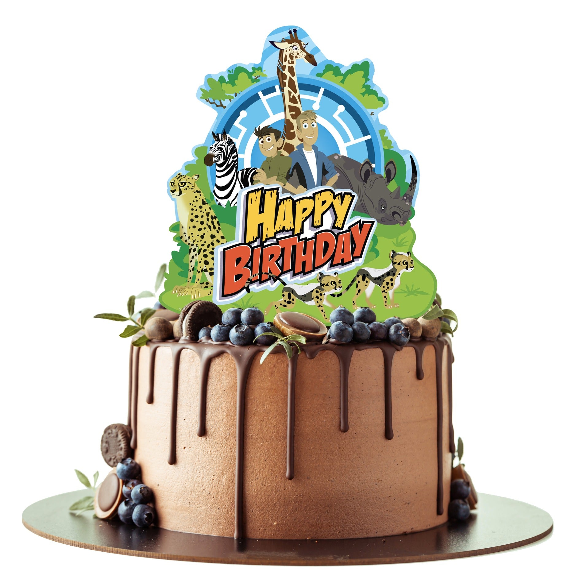 Wild Kratts Cake Topper - Wild Kratts Party Supplies