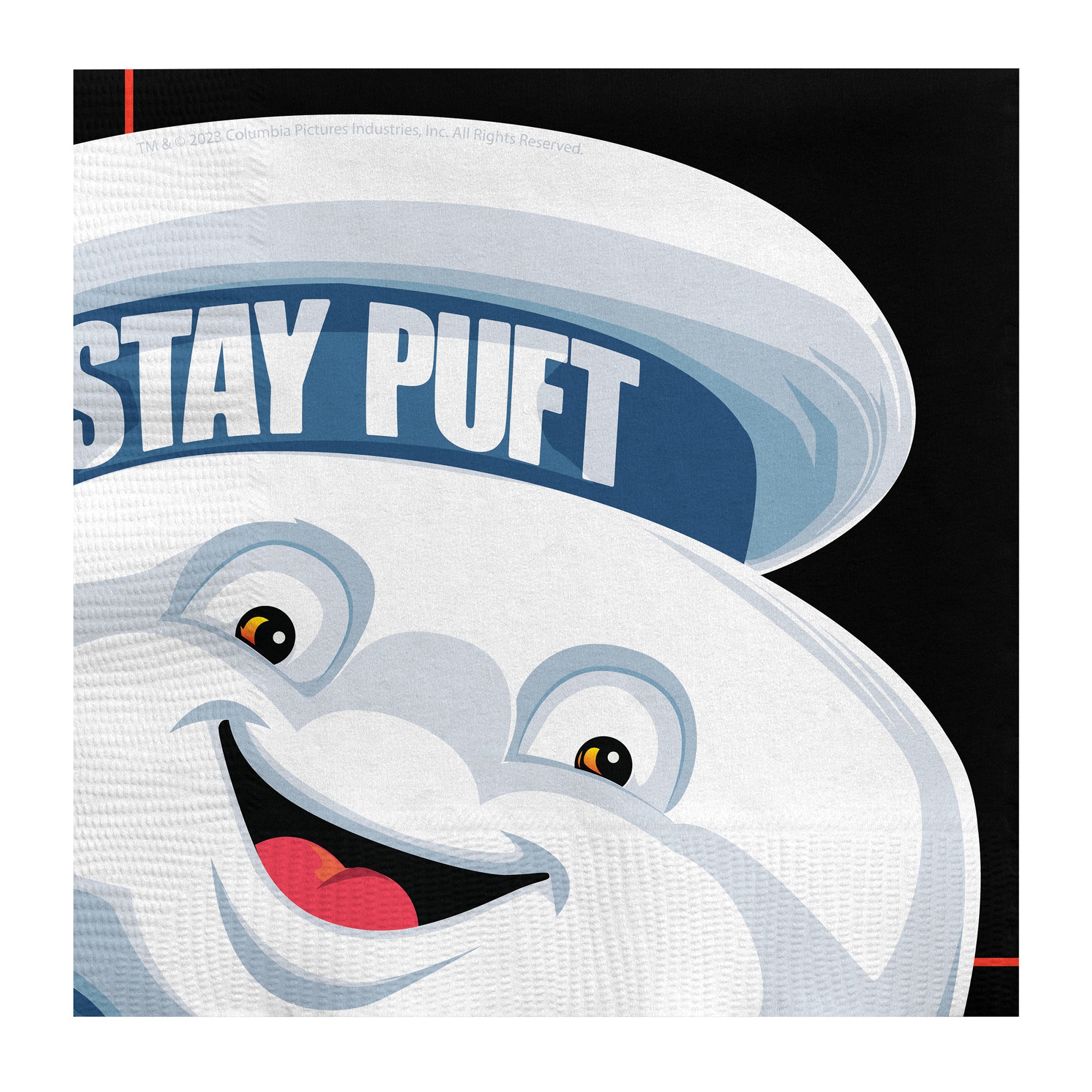 Ghostbusters Napkins - Ghostbusters Party Supplies