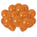 Chocolate Balloons - 10 Inch Latex Balloons