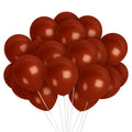 Brown Balloons - 12 Inch Latex Balloons