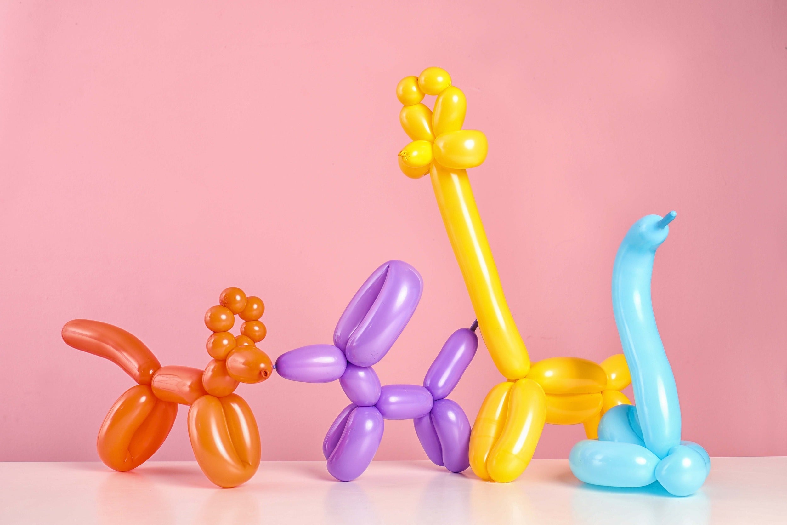 Light Blue Twisting Balloons - Long Balloons