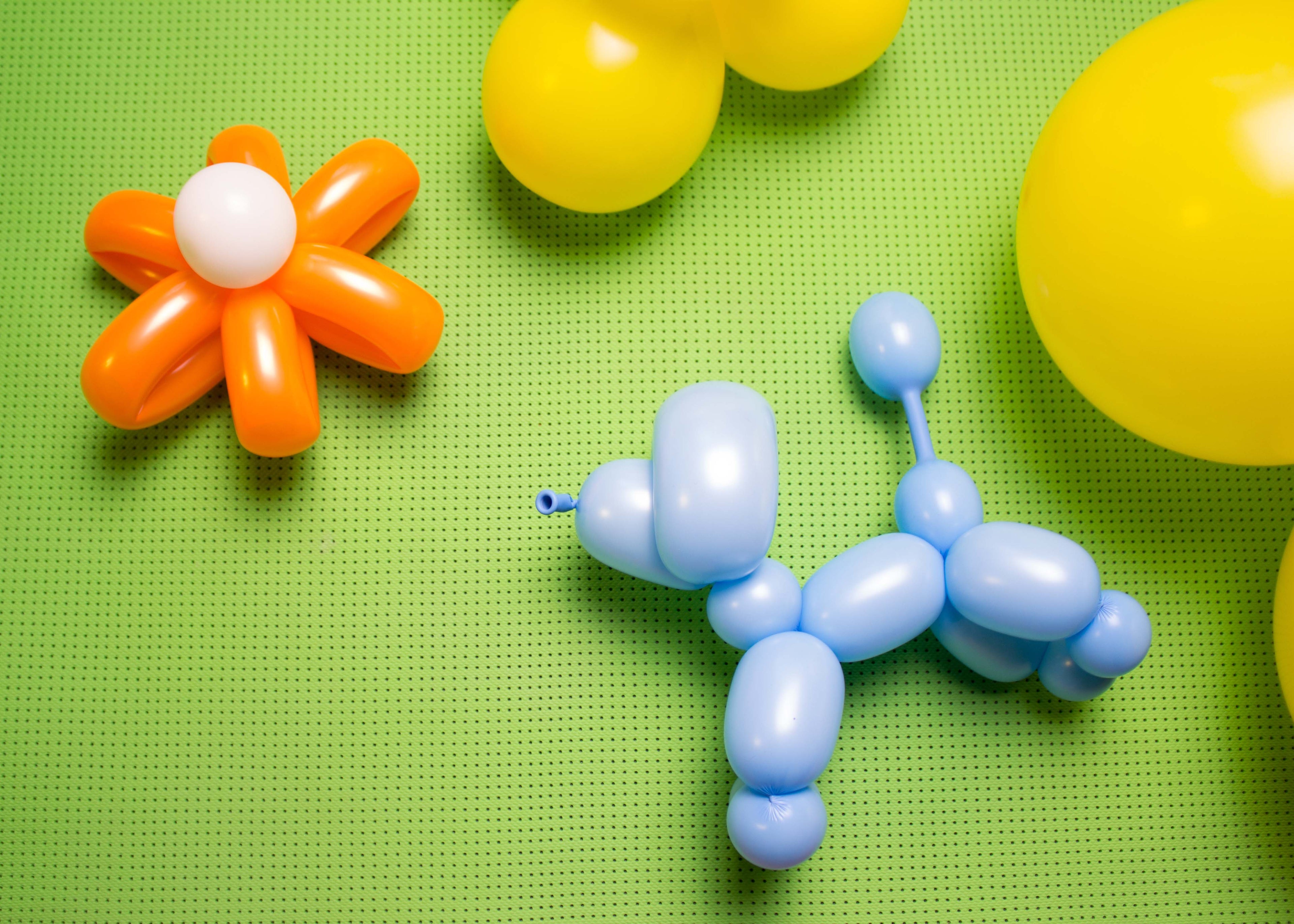 Light Blue Twisting Balloons - Long Balloons