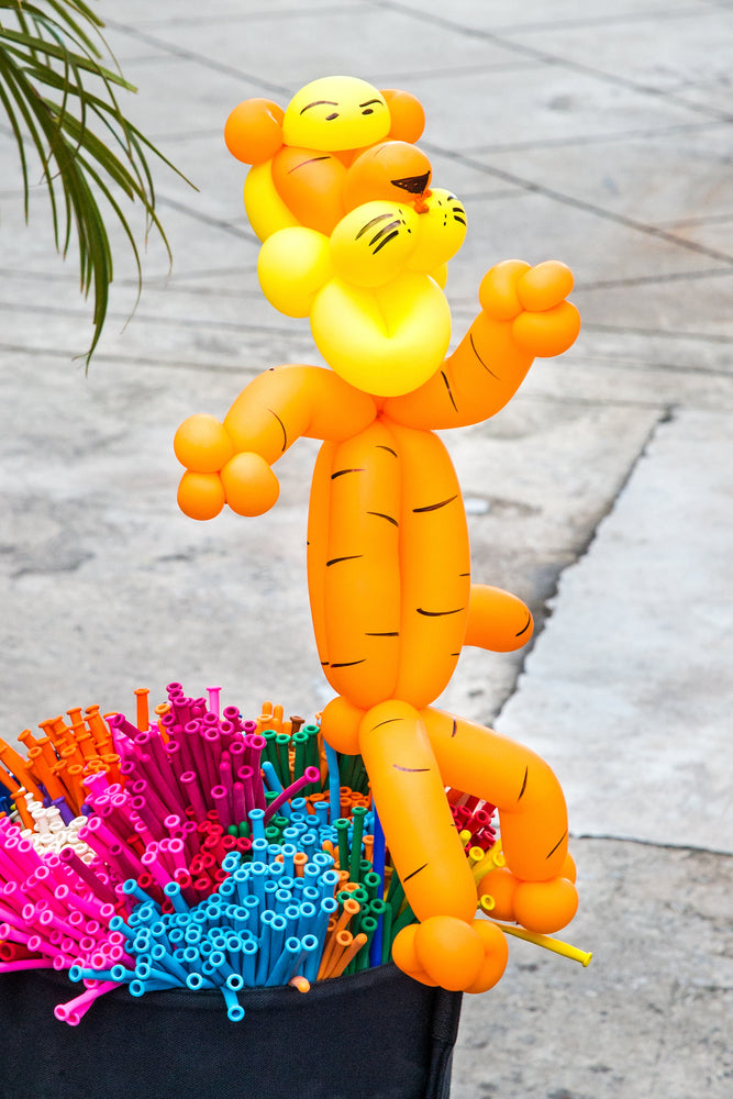 Assorted Twisting Balloons - Long Balloons