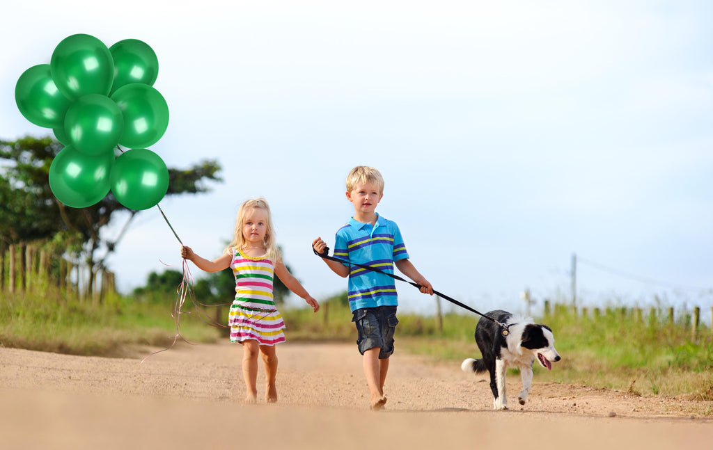 Pearlescent Emerald Green Balloons - 12 Inch Latex Balloons